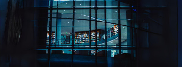 Obraz - Zasoby biblioteka