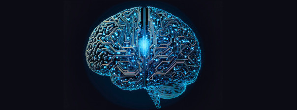 Obraz - Nauka, rozwój, dane badawcze