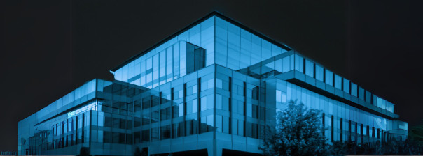 Obraz - Uczelnia WSPS